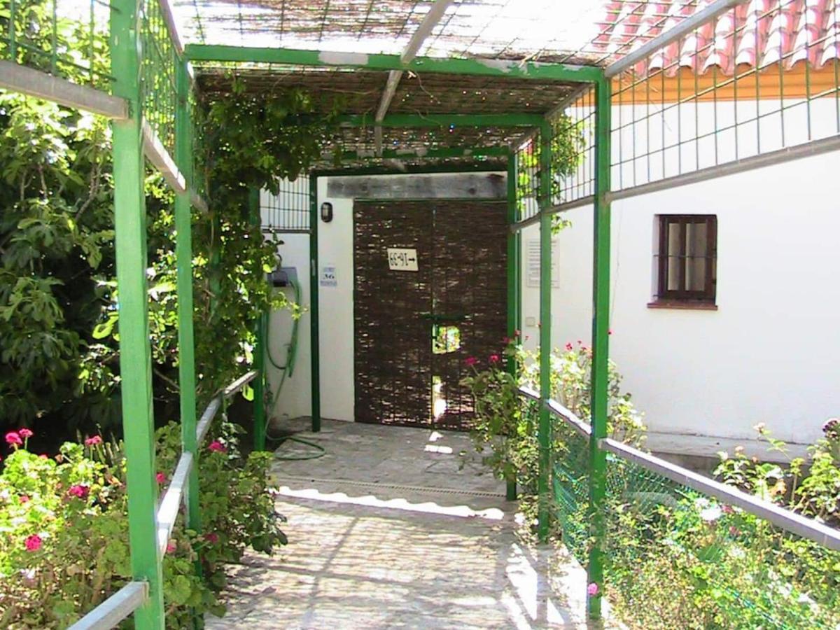 Apartment La Tacita - Petunia *